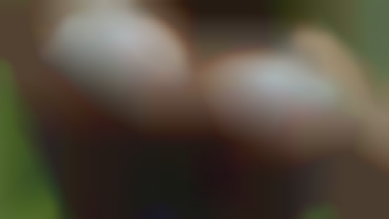 Now women meeting horny mature men 4 oral from Jamestown.